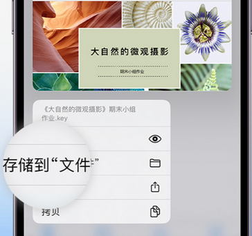 孙吴apple维修中心分享iPhone文件应用中存储和找到下载文件