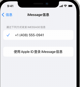 孙吴apple维修iPhone上无法正常发送iMessage信息 