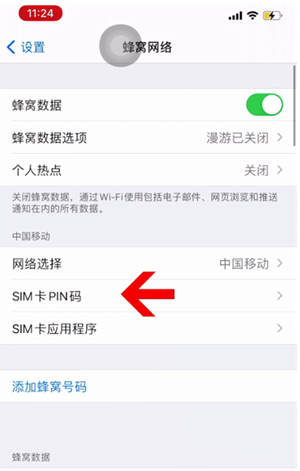 孙吴苹果14维修网分享如何给iPhone14的SIM卡设置密码 