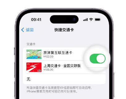 孙吴apple维修点分享iPhone上更换Apple Pay快捷交通卡手绘卡面 