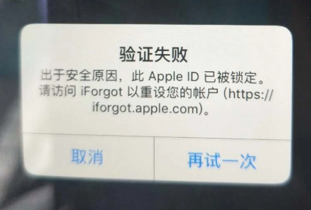 孙吴iPhone维修分享iPhone上正常登录或使用AppleID怎么办 