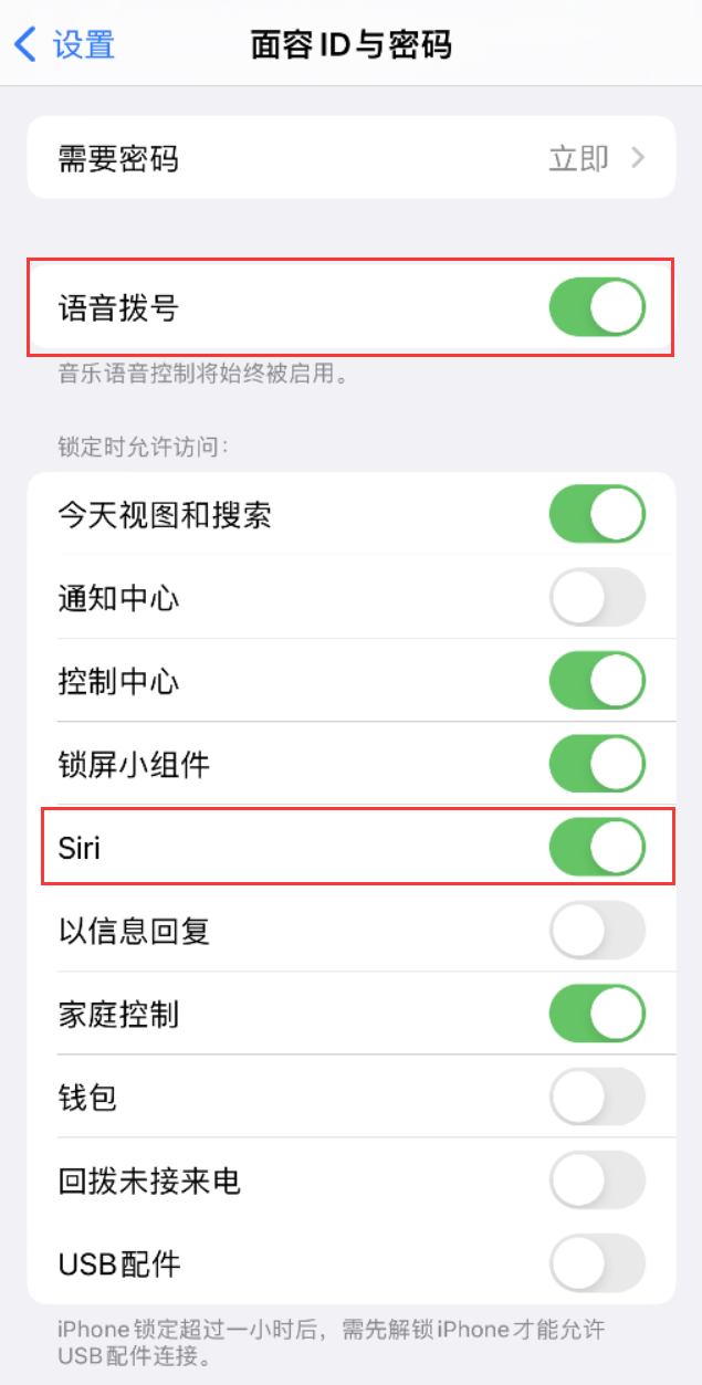 孙吴苹果维修网点分享不解锁 iPhone 的情况下通过 Siri 拨打电话的方法 