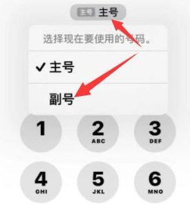 孙吴苹果14维修店分享iPhone 14 Pro Max使用副卡打电话的方法 