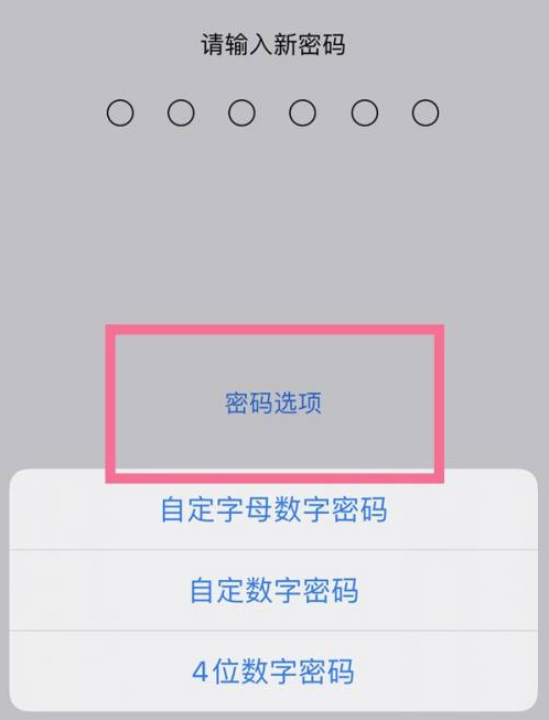 孙吴苹果14维修分享iPhone 14plus设置密码的方法 