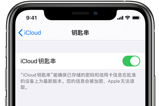 孙吴苹果手机维修分享在 iPhone 上开启 iCloud 钥匙串之后会储存哪些信息 