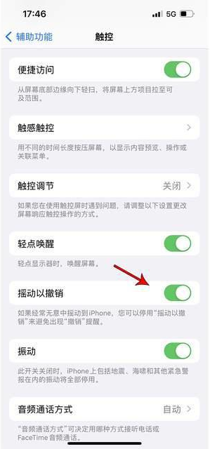 孙吴苹果手机维修分享iPhone手机如何设置摇一摇删除文字 