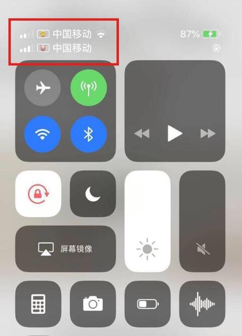 孙吴苹果手机维修分享为 iPhone 12 双卡设置标签 